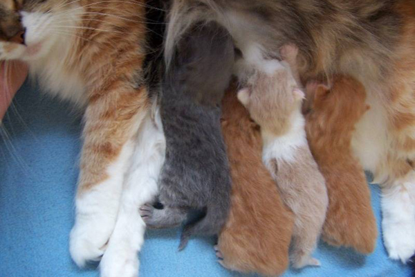 und seine Geschwister.jpg